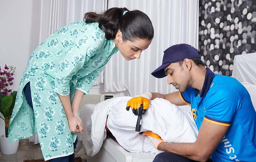 Protecting Public Health and Safety: The Vital Importance of Pest Control