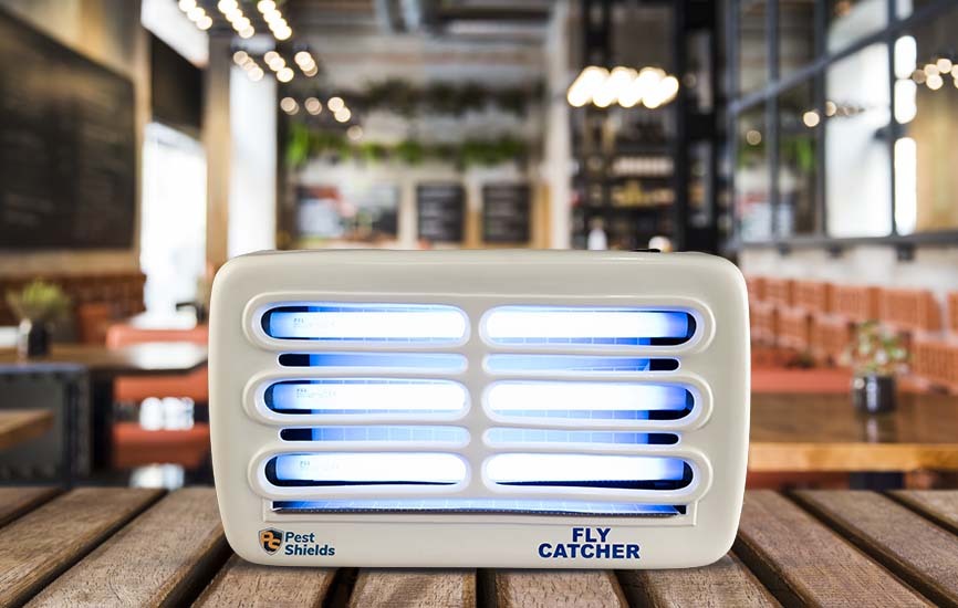 The Best Fly Catchers for Restaurants, Hotels, and Cafeterias | Fly Control Solutions