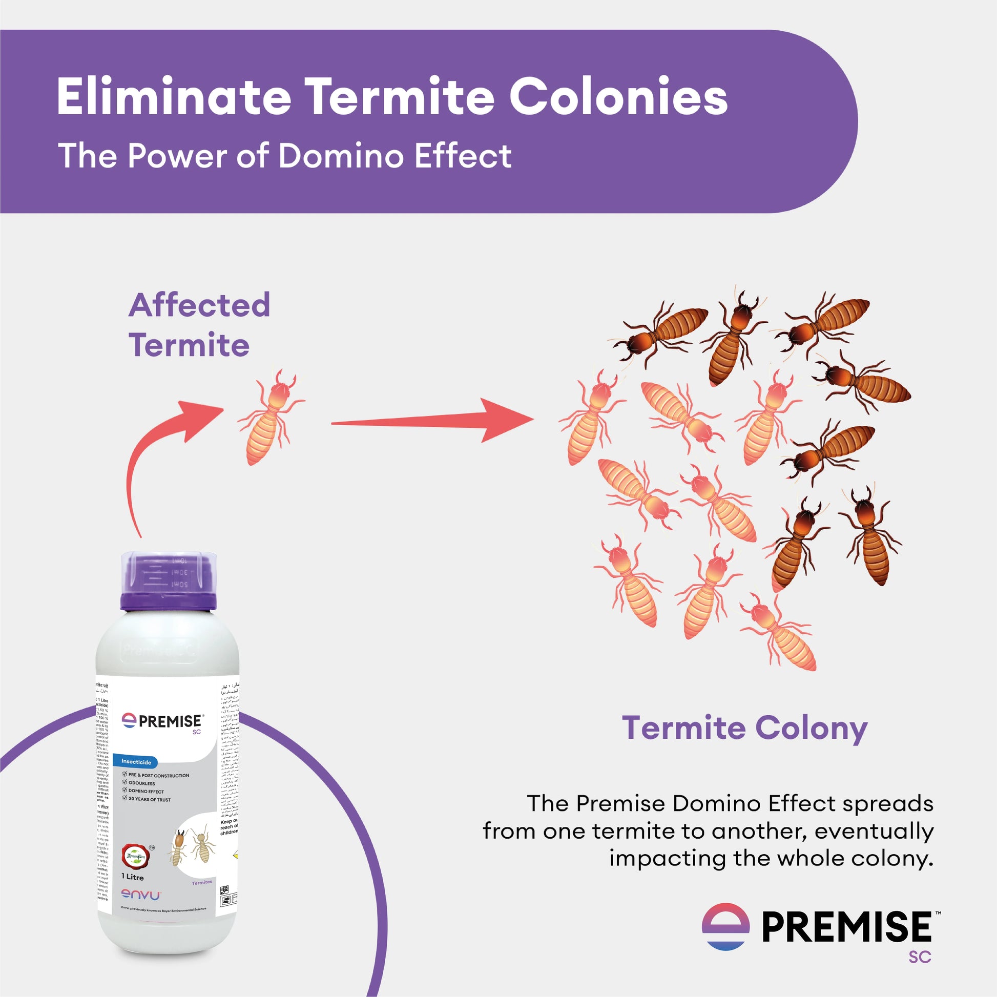 1PremiseCreatives1L-03