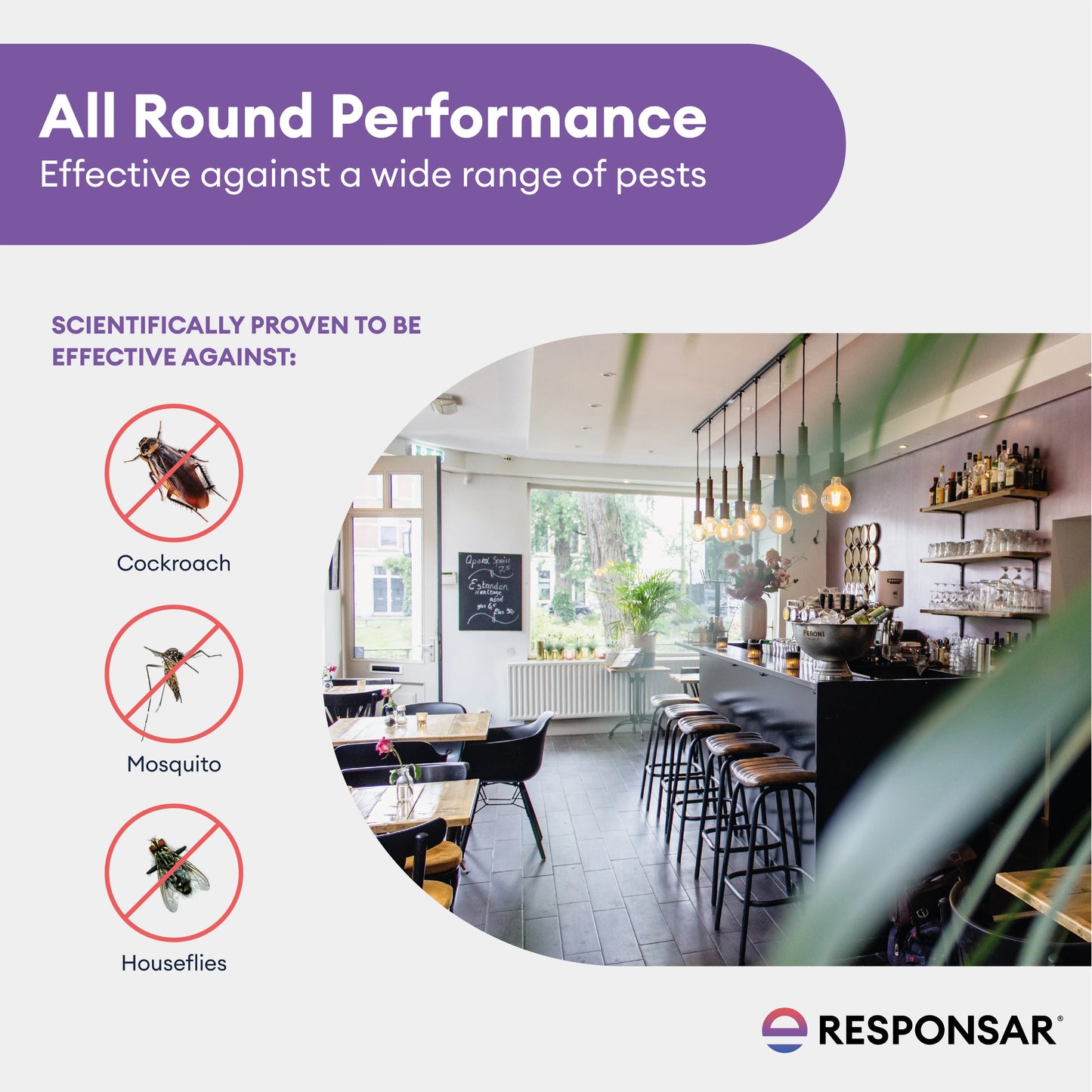 Responsar (100 ml) | Cockroach, Mosquito & Housefly Control