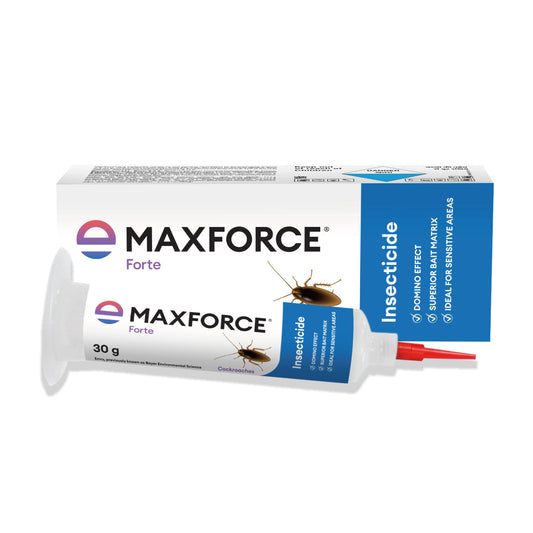 Maxforce Forte 30gm | Cockroach Control
