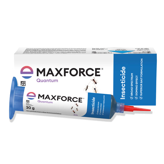 Maxforce Quantum 30gm | Ant Control
