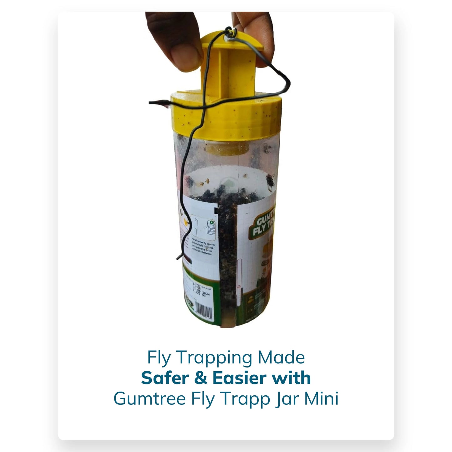 Gumtree Fly Trapp Jar Mini (Pack of 4)
