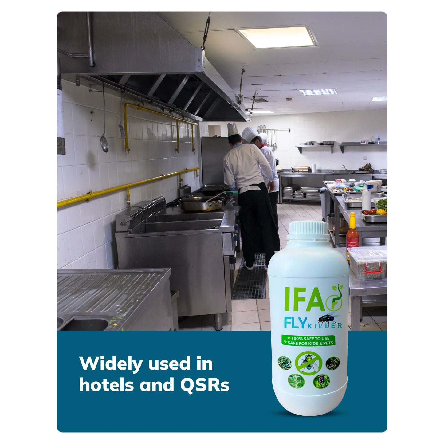 IFA Fly Killer