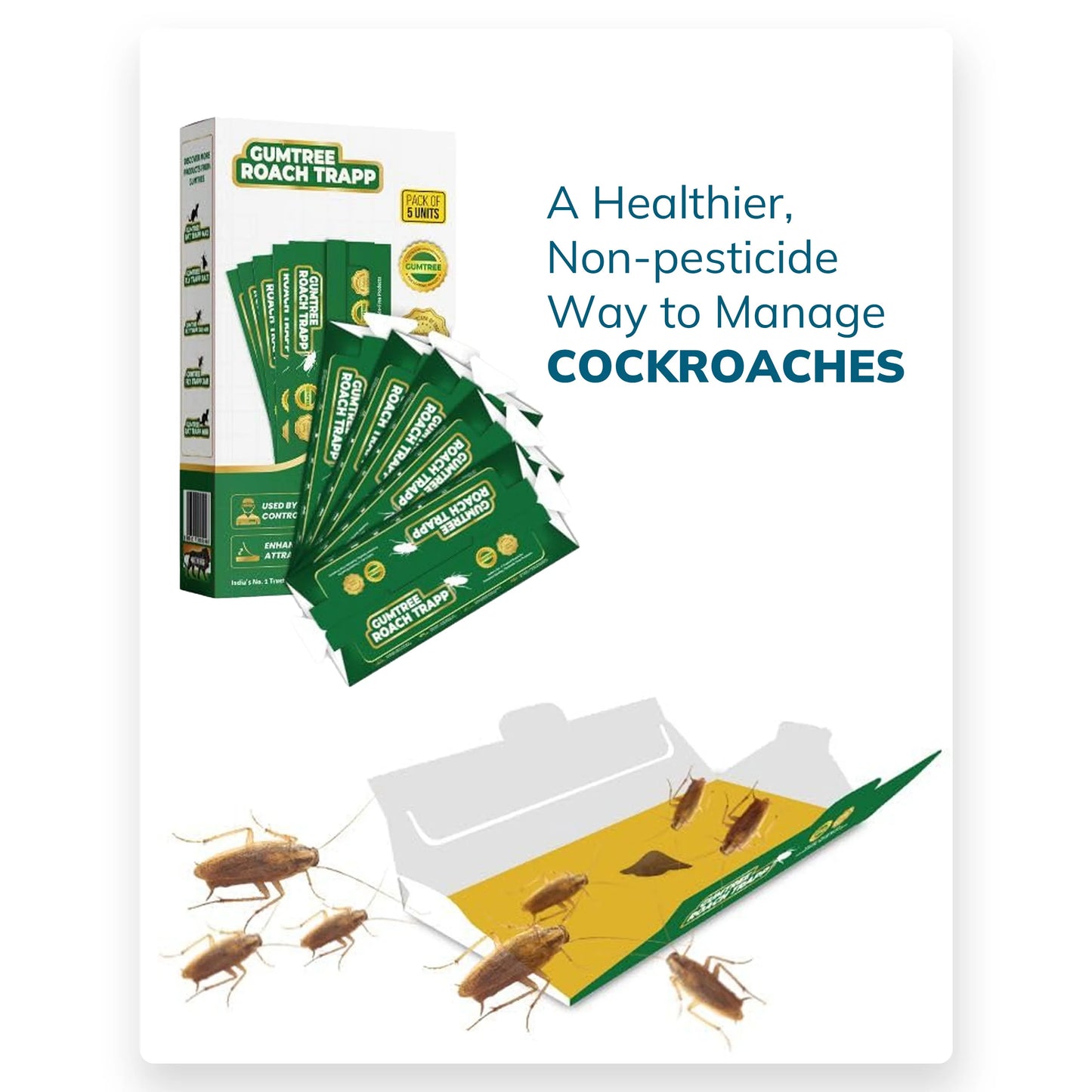 Gumtree Roach Trapp (Pack of 5 X 3Nos)