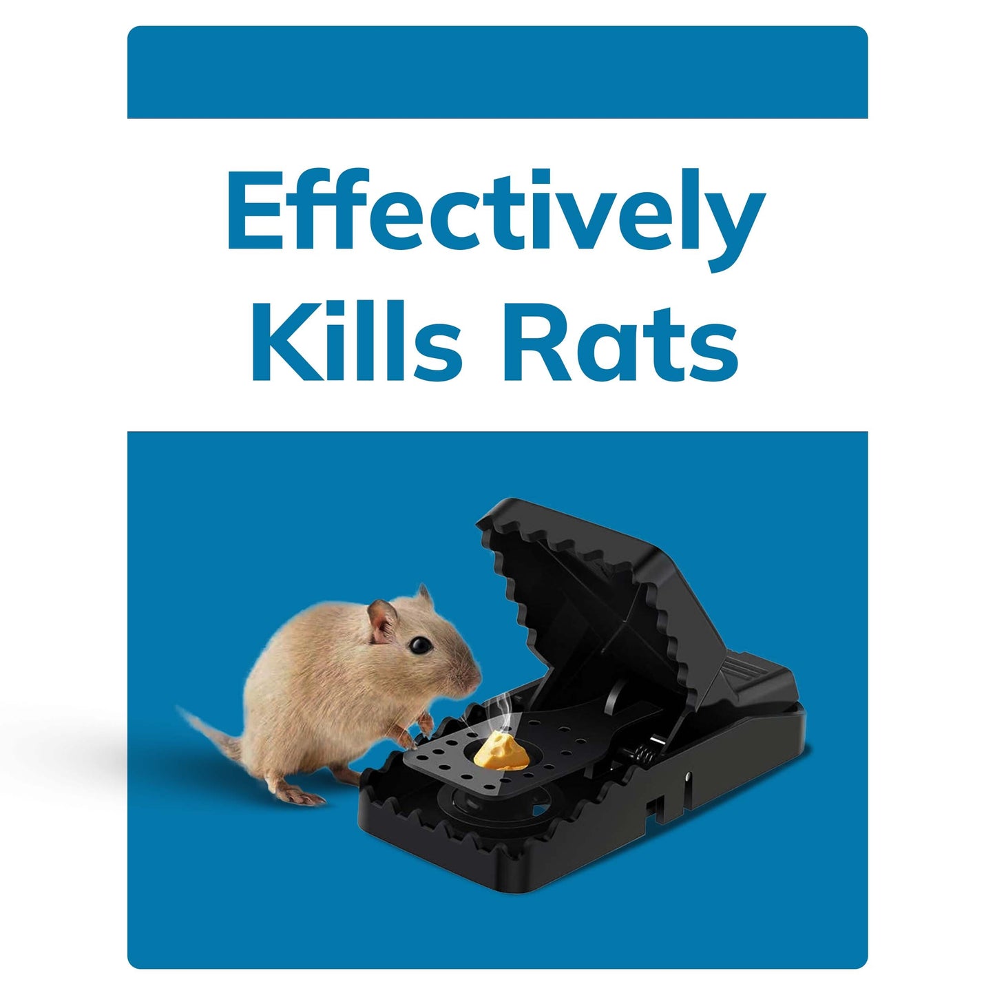 Pests Shields Snap - trap