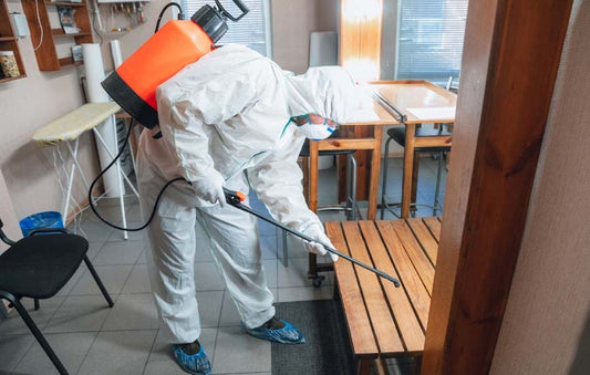 Why Pest Control is Important for Hotels and Restaurants: Maintaining Hygiene Standards in the Hospitality Industry