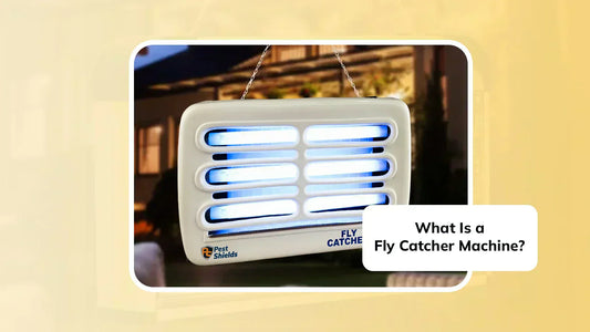 How Does a Fly Catcher Machine Work?