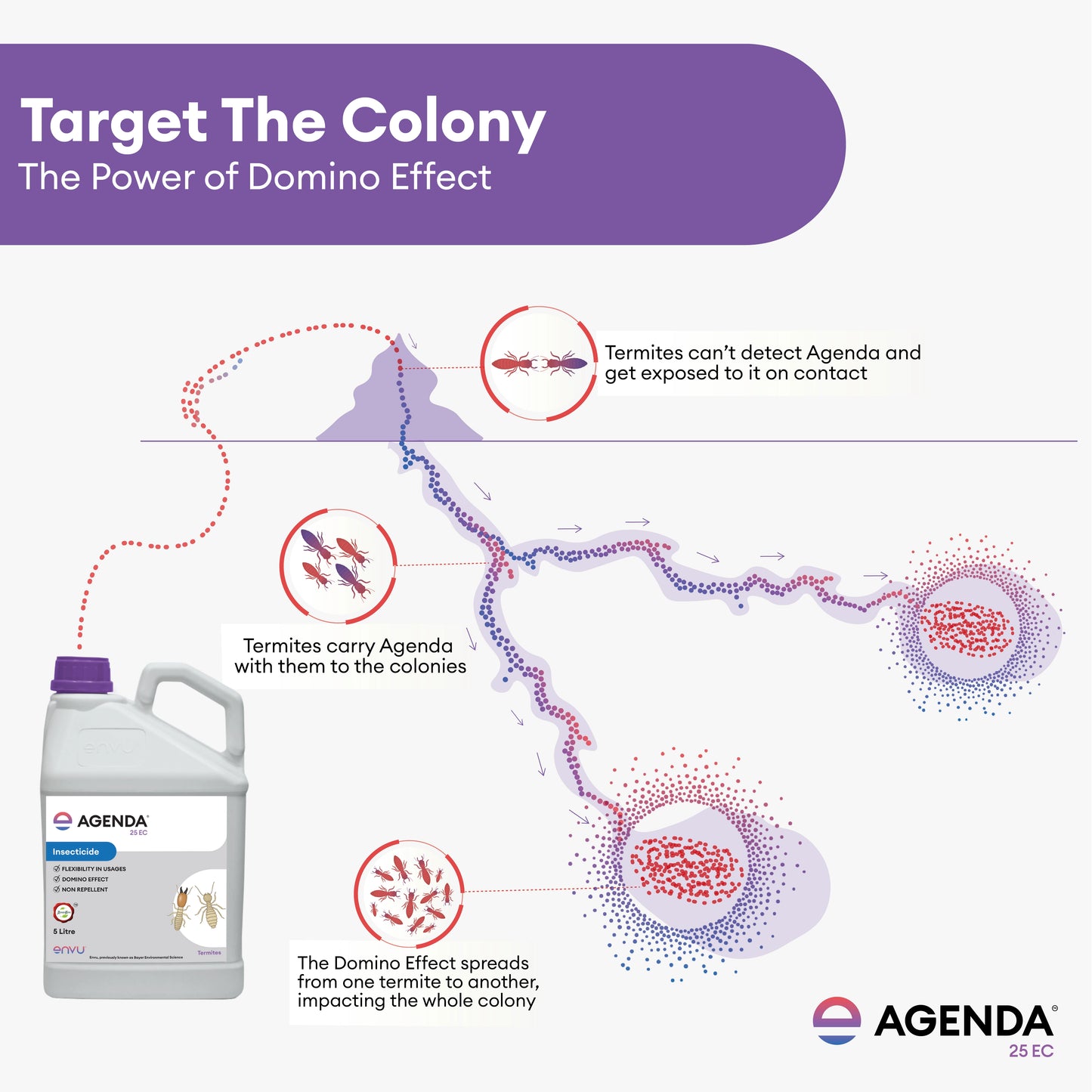 Agenda For Termite Control (Deemak Killer) - 5 L | Anti Termite Chemical For Pre And Post-Construction