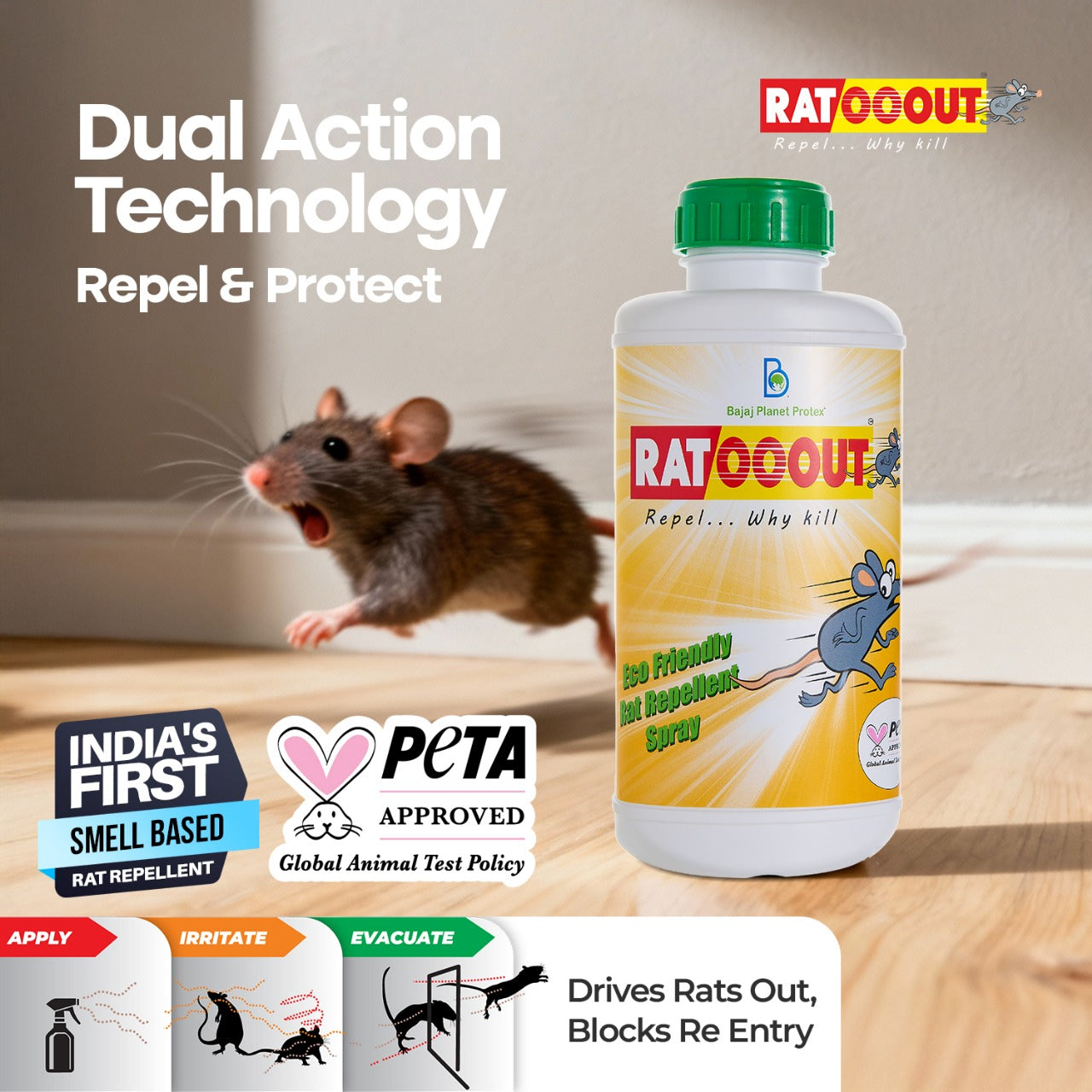 rat repellent spray for car,rat repellent for home,rodent repellent for car,car rat spray for engine and wire,rat spray for car engine and interior,rat repellent for car,rat spray for car,rat repellent for car engine,rat repellent spray for home
