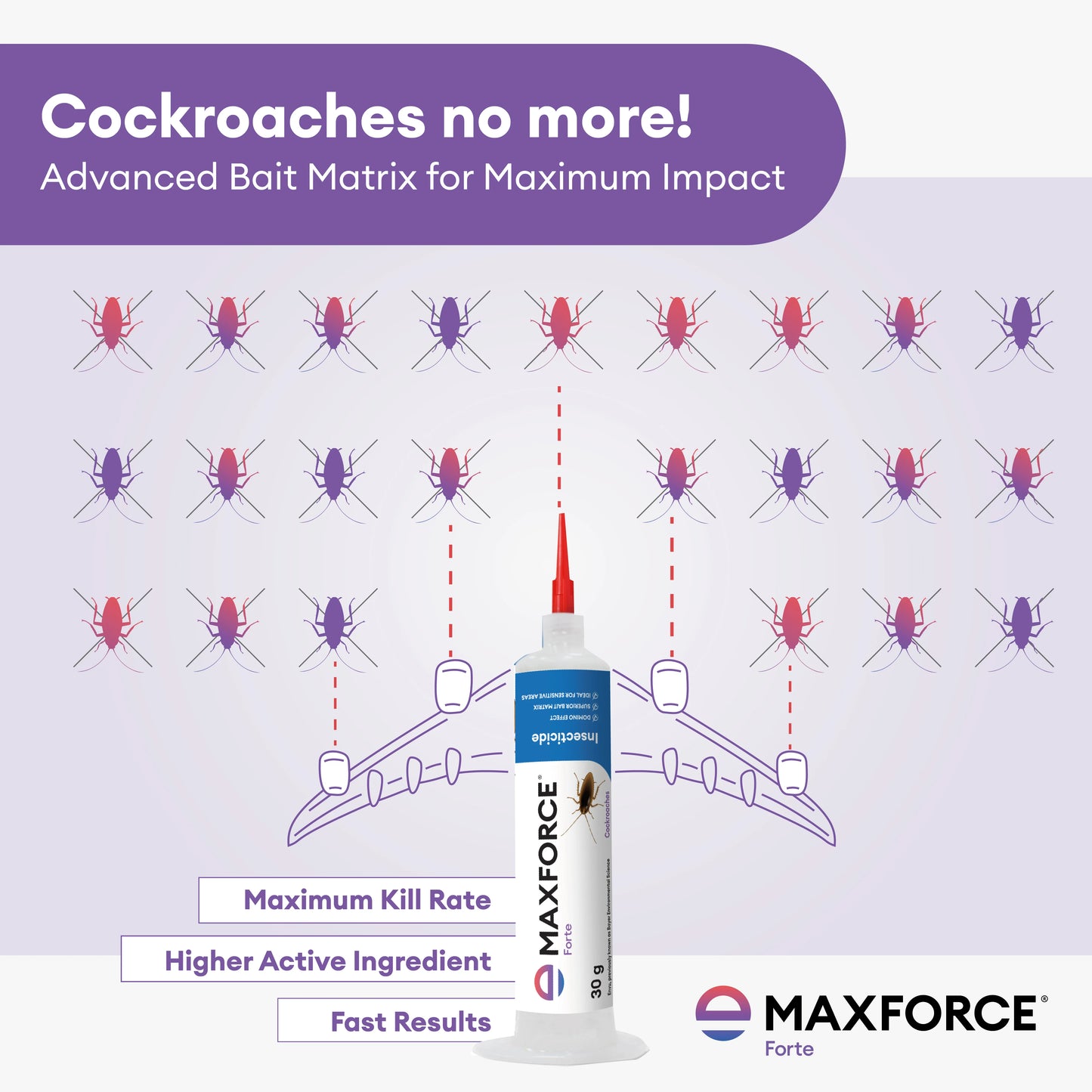 Maxforce Forte 30gm | Cockroach Control