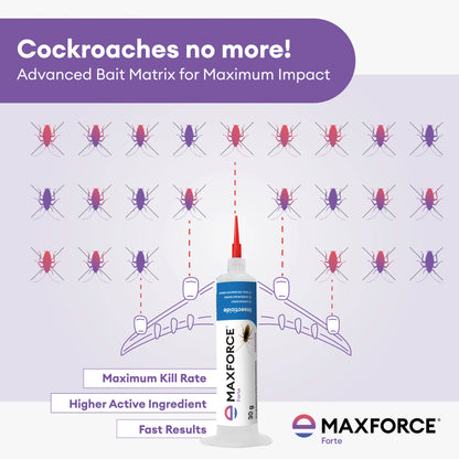Maxforce Forte 30gm | Cockroach Control