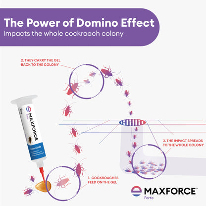 Maxforce Forte 30gm | Cockroach Control