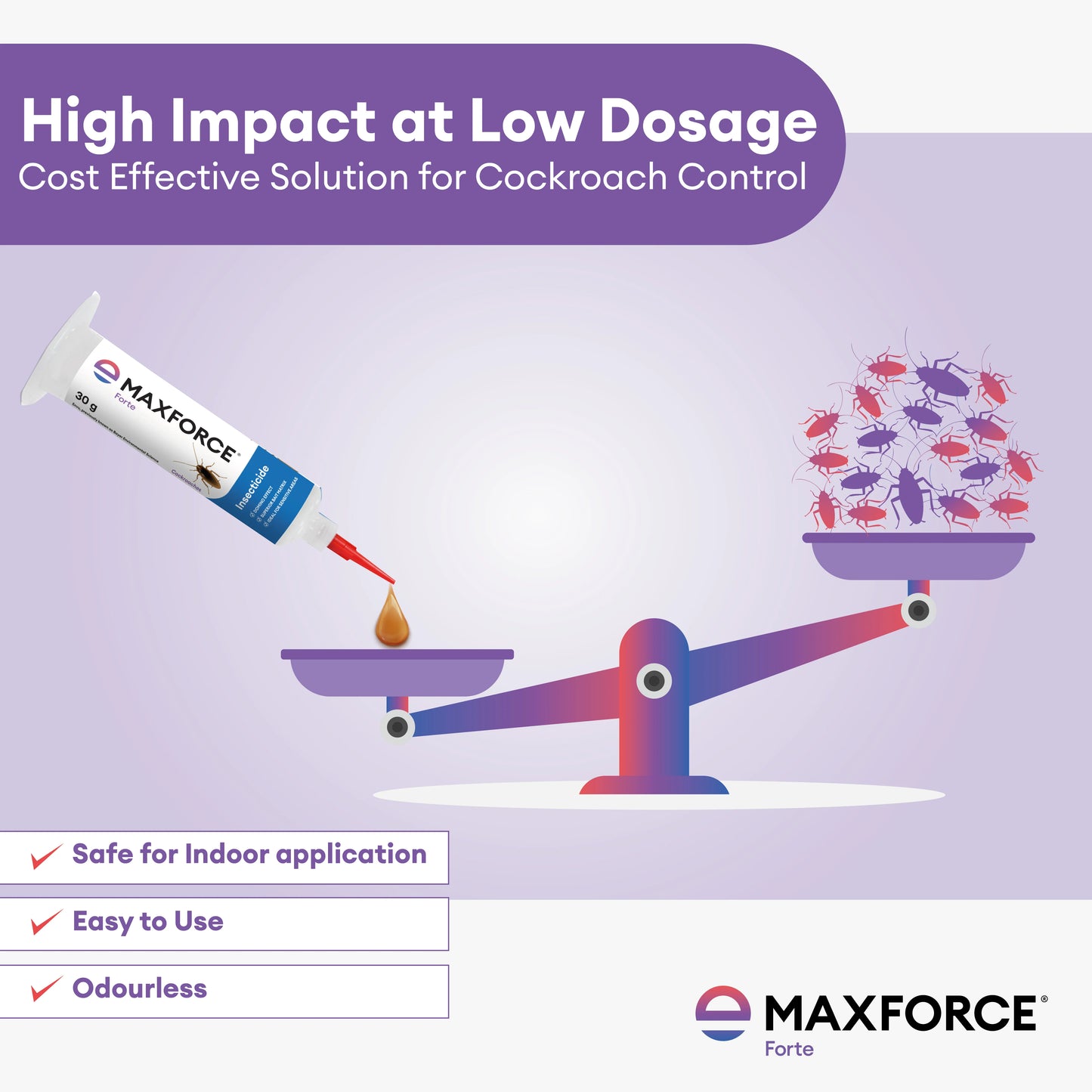 Maxforce Forte 30gm | Cockroach Control