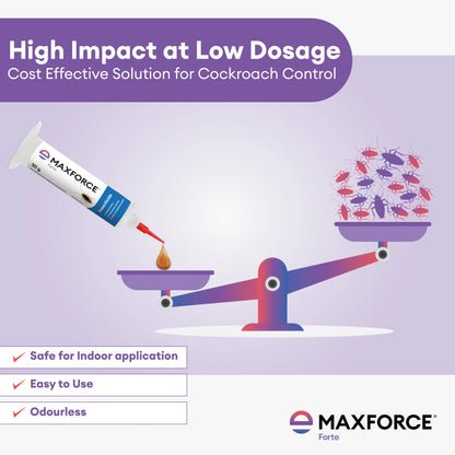 Maxforce Forte 30gm | Cockroach Control