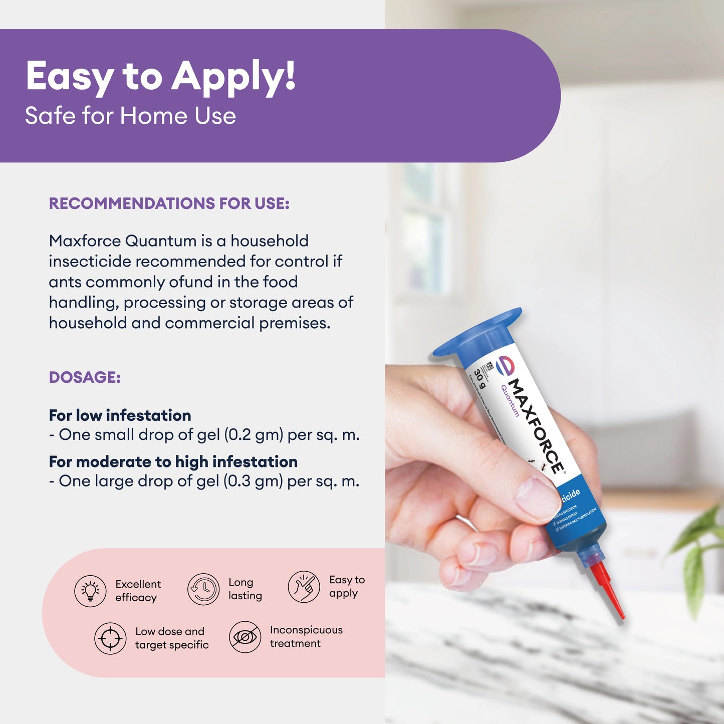 Maxforce Quantum 30gm | Ant Control