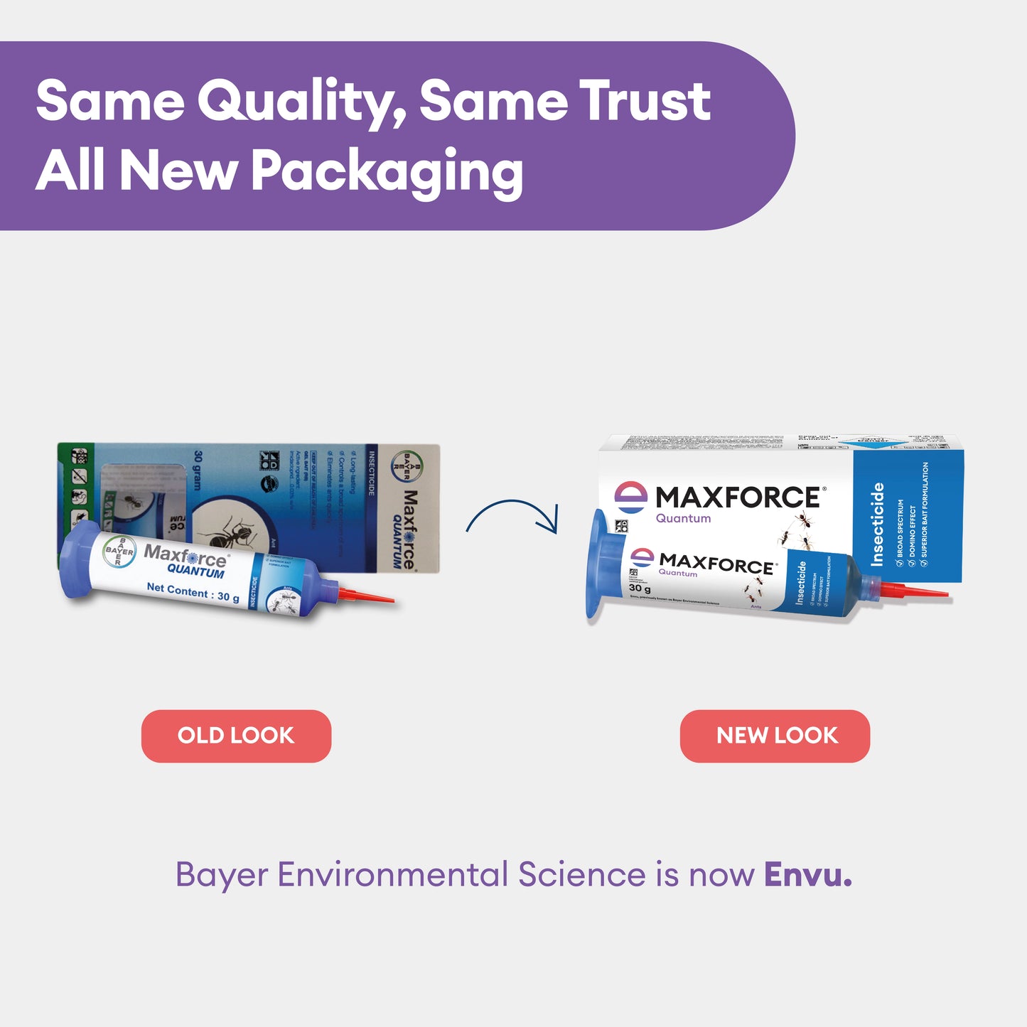 Maxforce Quantum 30gm | Ant Control