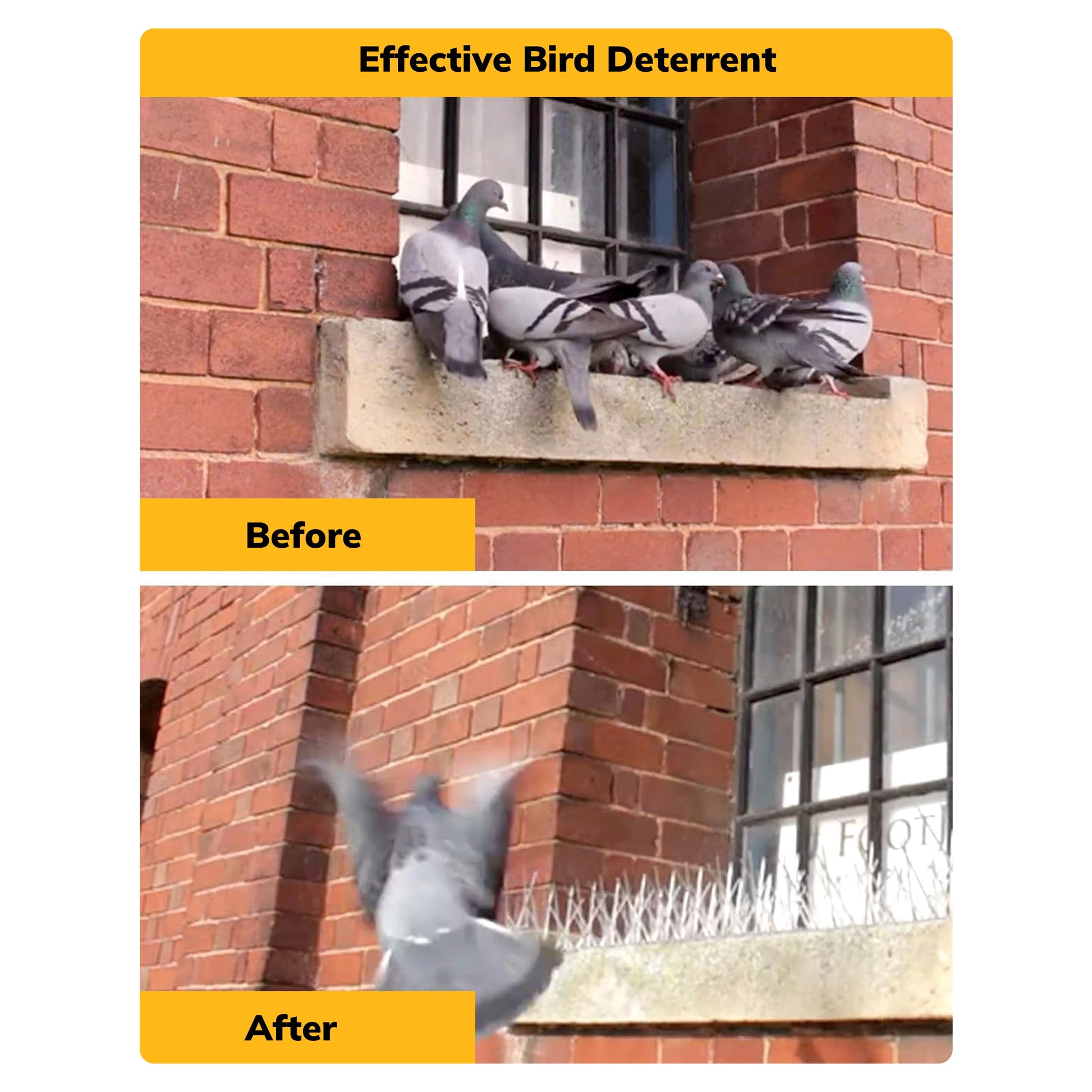BirdSpikes3