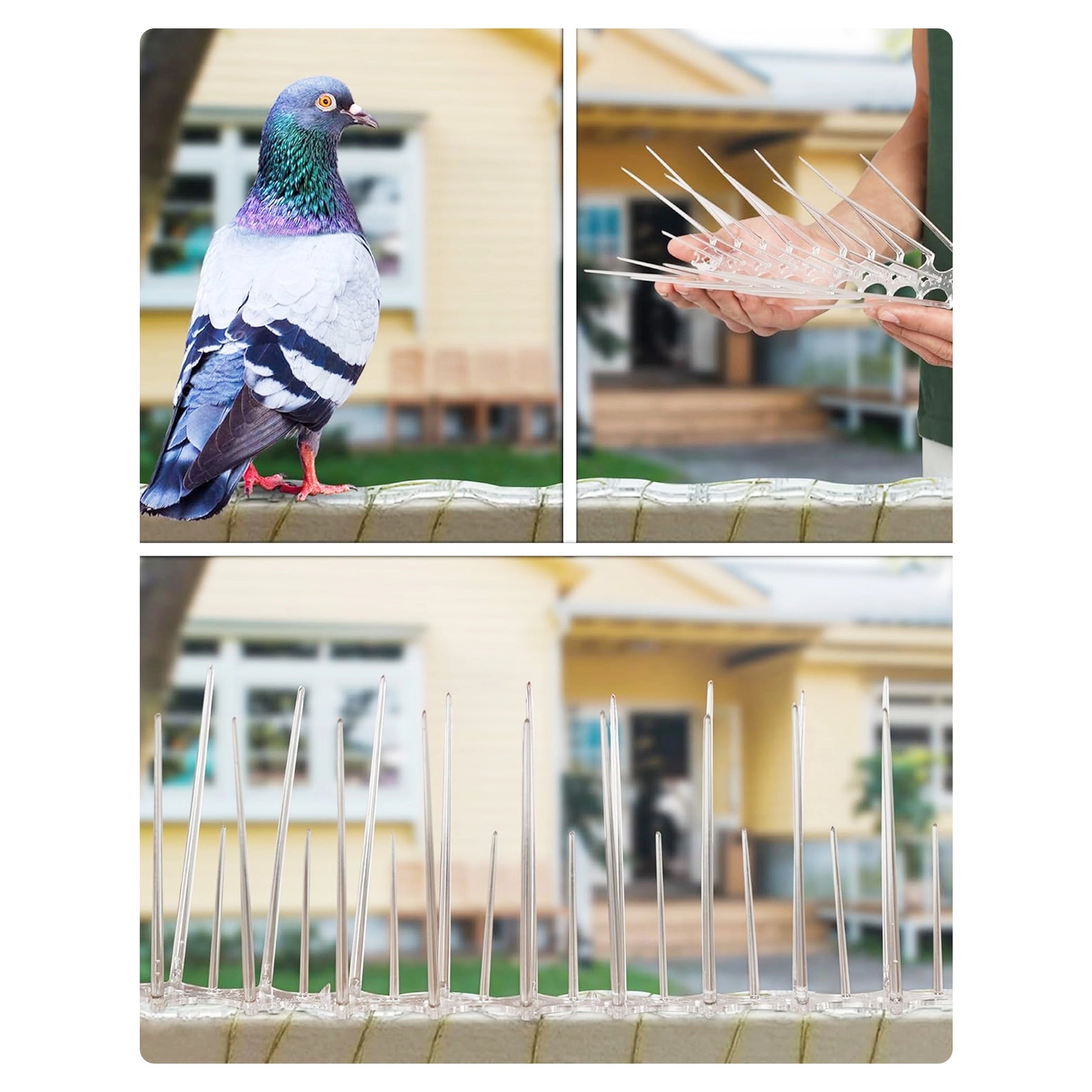 BirdSpikes4