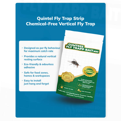 Gumtree Fly Trapp Bait Mini (Pack of 4)
