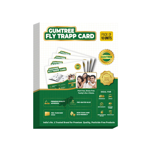 Gumtree Fly Trapp Card (Pack of 10 X 2Nos)