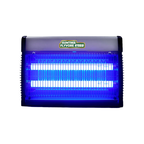Gumtree Flyvore Hybrid