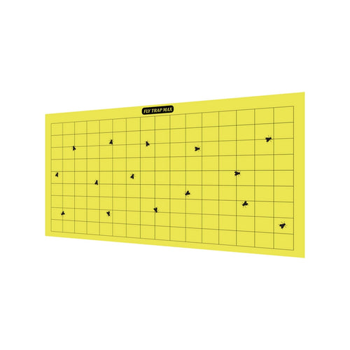 Gumtree Fly Trapp Giant (Pack of 50)