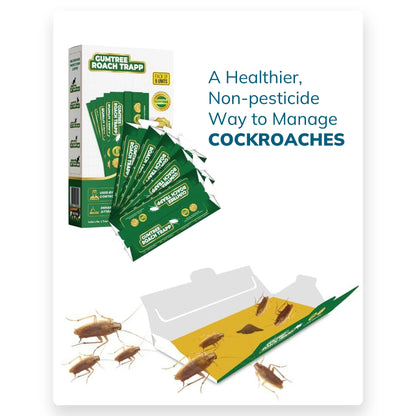 Gumtree Roach Trapp (Pack of 5 X 3Nos)