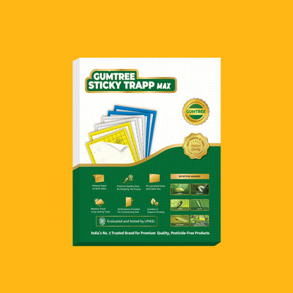 Gumtree Sticky Trapp Max (Pack of 20)