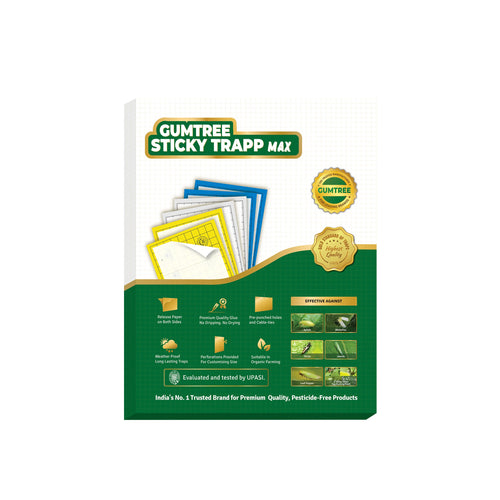 Gumtree Sticky Trapp Max (Pack of 20)