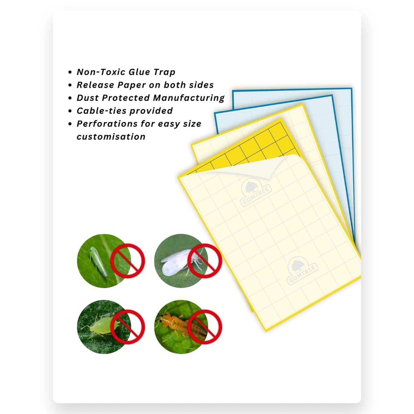 Gumtree Sticky Trapp Max (Pack of 20)