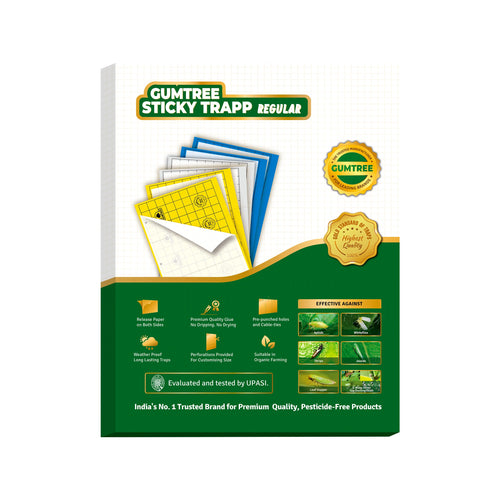 Gumtree Sticky Trapp Regular (Pack of 20)