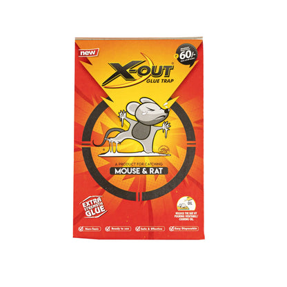Glue Pad | Large
