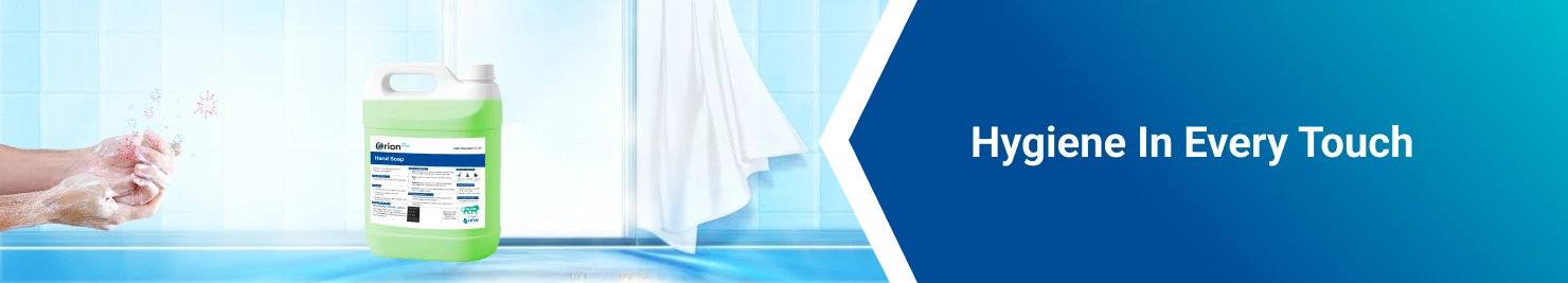 Section Banner