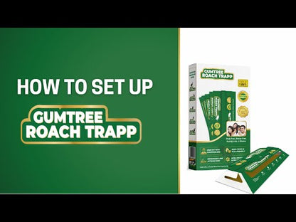 Gumtree Roach Trapp (Pack of 5 X 3Nos)