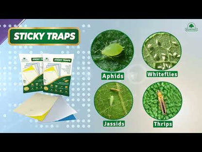 Gumtree Sticky Trapp Max (Pack of 20)